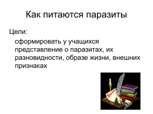 Как питаются паразиты