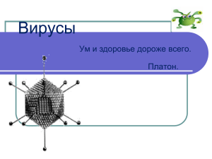 Вирус в клетке хозяина