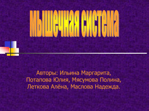 Авторы: Ильина Маргарита, Потапова Юлия, Мясумова Полина