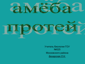 Учитель биологии ГОУ №525 Московского района Бехарская Л.Н.