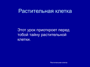 Растительная клетка Этот урок приоткроет перед тобой тайну растительной клетки.