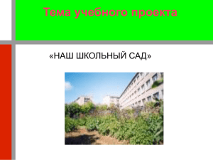 Тема учебного проекта «НАШ ШКОЛЬНЫЙ САД»