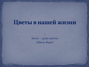 Презентация для родителей "Цветы в нашей жизни"