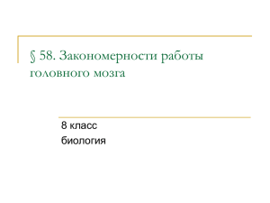 58. Закономерности работы головного мозга