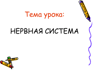 Тема урока: НЕРВНАЯ СИСТЕМА