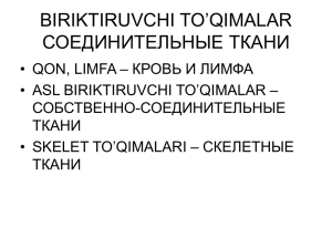 BIRIKTIRUVCHI TO´QIMALAR СОЕДИНИТЕЛЬНЫЕ ТКАНИ