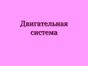 Двигательная система