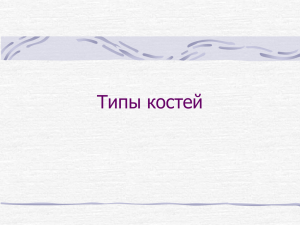 Типы костей