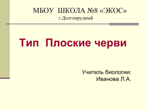 Тип  Плоские черви МБОУ  ШКОЛА №8 «ЭКОС» Учитель биологии: Иванова Л.А.