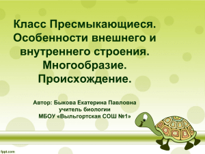 Класс Пресмыкающиеся. Особенности внешнего и внутреннего строения. Многообразие.