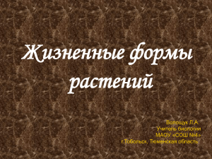 Жизненные формы растений Волощук Л.А. Учитель биологии