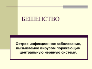 БЕШЕНСТВО Острое инфекционное заболевание, вызываемое вирусом поражающим центральную нервную систему.