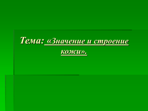 открытый урок по теме Значение и строение кожи