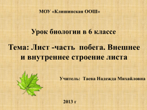 Проверка знаний о побеге, строении почек, росте и развитии