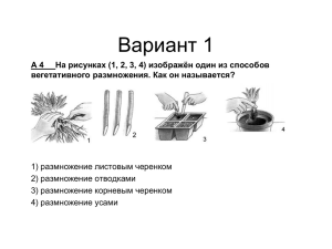 Вариант 1