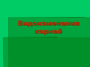 Видоизменения корней