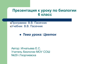 Презентация к уроку по биологии 6 класс Тема урока: Цветок Автор: Игнатьева Е.С.