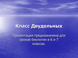 Презентация «Класс Двудольных