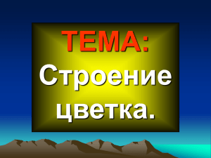 ТЕМА: Строение цветка.