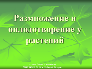 Размножение и оплодотворение у растений Агеева Ольга Алексеевна