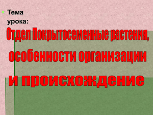 выявить особенности строения цветкового растения