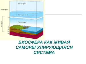 презентация 12