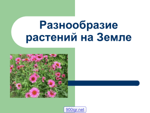 Разнообразие растений на Земле 900igr.net