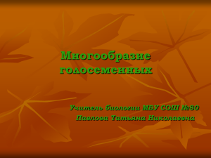 Многообразие голосеменных