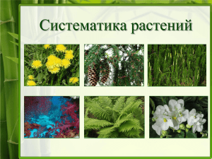 Систематика растений