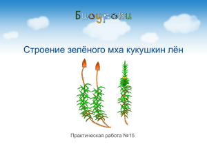 Практическая работа №15