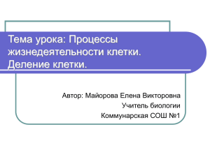 Тема урока: Процессы жизнедеятельности клетки. Деление клетки. Автор: Майорова Елена Викторовна