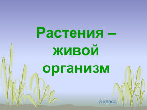 Растения – живой организм 3 класс