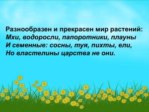 Разнообразен и прекрасен мир растений: Мхи, водоросли, папоротники, плауны