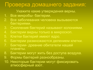 происхождение грибов