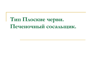 Тип Плоские черви. Печеночный сосальщик.