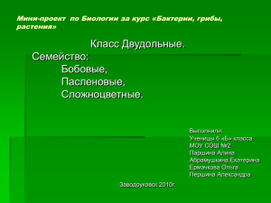 Класс Двудольные. Семейство: Бобовые, Пасленовые,