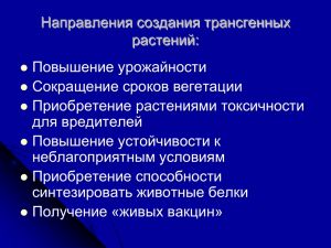 Направления создания трансгенных растений: Повышение урожайности Сокращение сроков вегетации