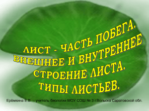 Ерёмкина Е.В. – учитель биологии МОУ СОШ № 3 г.Вольска...