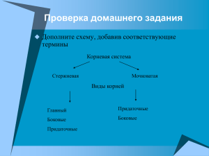 Проверка домашнего задания Дополните схему, добавив соответствующие термины 