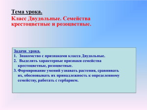 Тема урока. Класс Двудольные. Семейства крестоцветные и розоцветные.