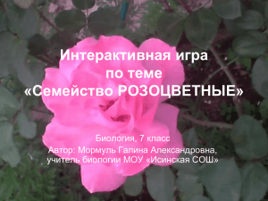 Семейство РОЗОЦВЕТНЫЕ