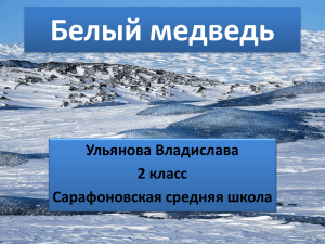 детская работа – презентация "Белый медведь"