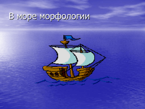 В море морфологии