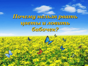 Почему нельзя рвать цветы и ловить бабочек?