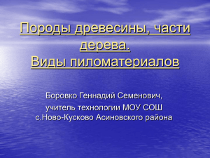 Породы древесины, части дерева. Виды пиломатериалов.