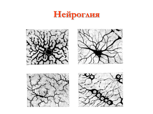 Одностороннее проведение возбуждения. Задержка