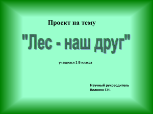 Ты о чём шумишь листвою Ночью тёмной, грозовою?