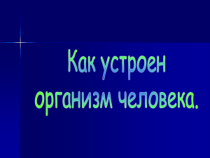 Как устроен человек