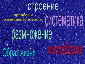 Документ4930919 4930919