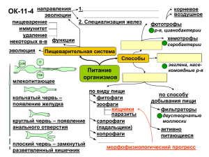 ОК-11-4 Питание организмов